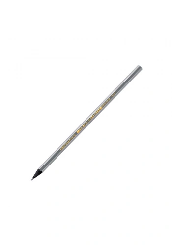 Bic Evolution Black Kurşun Kalem 896017