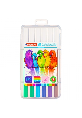 Bigpoint Fırça Uçlu Keçeli Kalem 12li Set (Plastik Kutulu)
