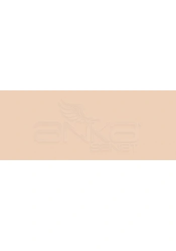 Copic Various Ink E34 Orientale