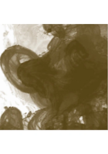 Daler Rowney FW Acrylic Artist Ink 180ml Antelope Brown 222