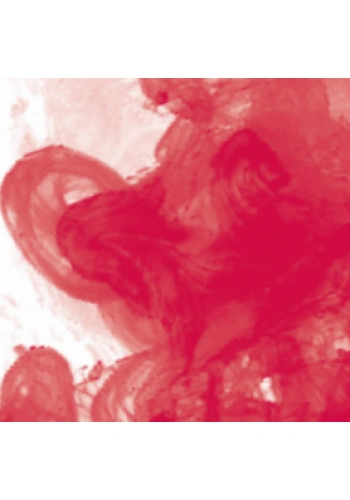 Daler Rowney FW Acrylic Artist Ink 180ml Crimson 513