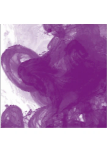 Daler Rowney FW Acrylic Artist Ink 180ml Purple Lake 437