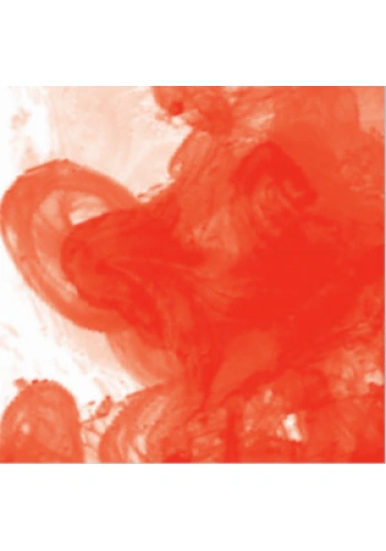 Daler Rowney FW Acrylic Artist Ink 180ml Scarlet 567