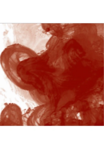 Daler Rowney FW Acrylic Artist Ink 29.5ml Cam Şişe Red Earth 554