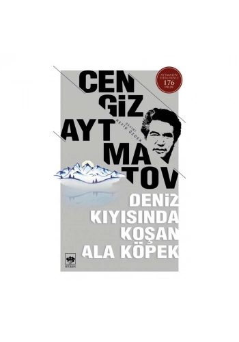 Deniz Kıyısında Koşan Ala Köpek