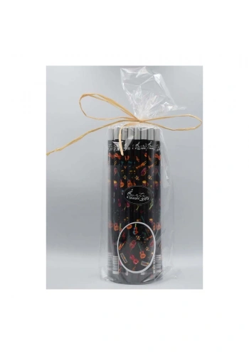 Enstrüman Motifli Manyetik Kurşun Kalem