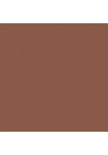 Faber Castell Pitt Pastel Kalem 283 Burnt Sienna