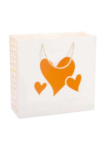 Gıpta Floral B5 Karton Çanta BG65800