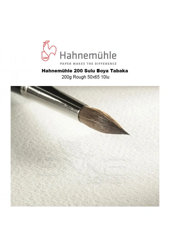 Hahnemühle 200 Sulu Boya Tabaka 200g Rough 50x65 10lu