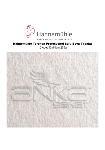 Hahnemühle Torchon Profesyonel Sulu Boya Tabaka 10 Adet 50x70cm 275g