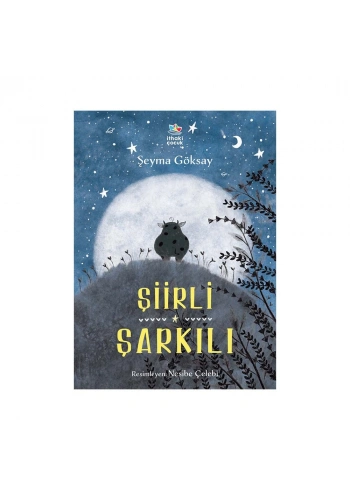 Şiirli Şarkılı