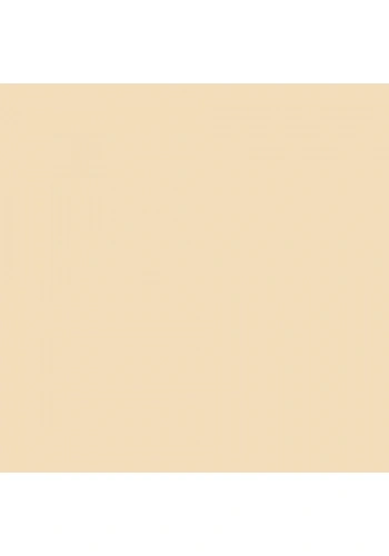 Touch Twin Brush Marker BR113 Peanut