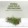 Doğal Çam Özlü Diş Macunu 90 ml
