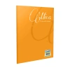 GIPTA MİCA PLASTİK KAPAK DEFTER A4 KARELİ 60 YAPRAK (1705)