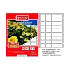 TANEX BİLGİSAYAR SÜREKLİ FORM ETİKETİ 23x40mm 4320 ADET