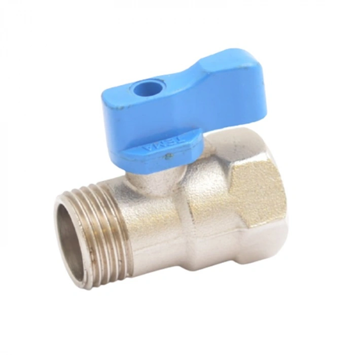 Buhar ve Su Tahliye Mini Vanası 1/4inç / TY BTV HRM6