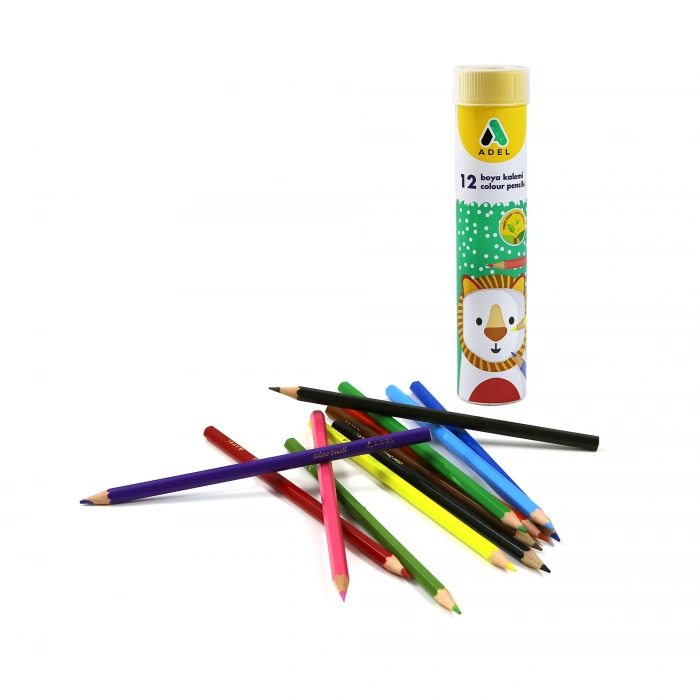 ADEL 12 RENK METAL TÜP KURU BOYA 2112315013