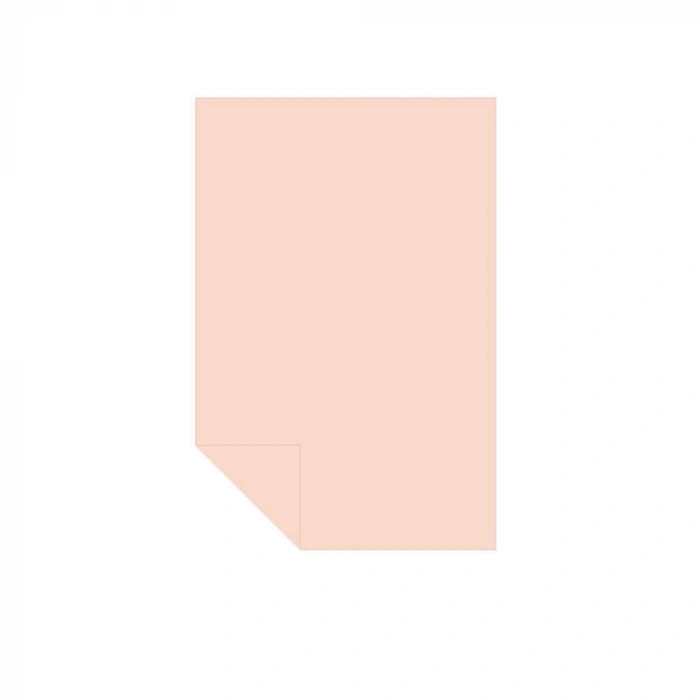 Alex Schoeller Kolej Fon Kartonu 160 gr Somon No:05 50x70 cm 100lü