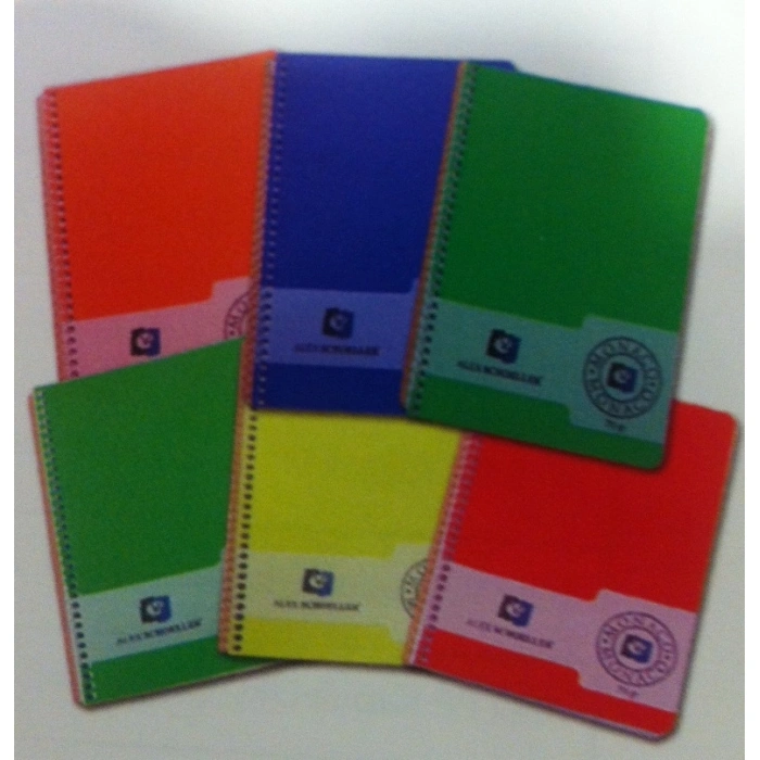 Alex Schoeller Spiralli Çizgili Defter A4 80 Yaprak