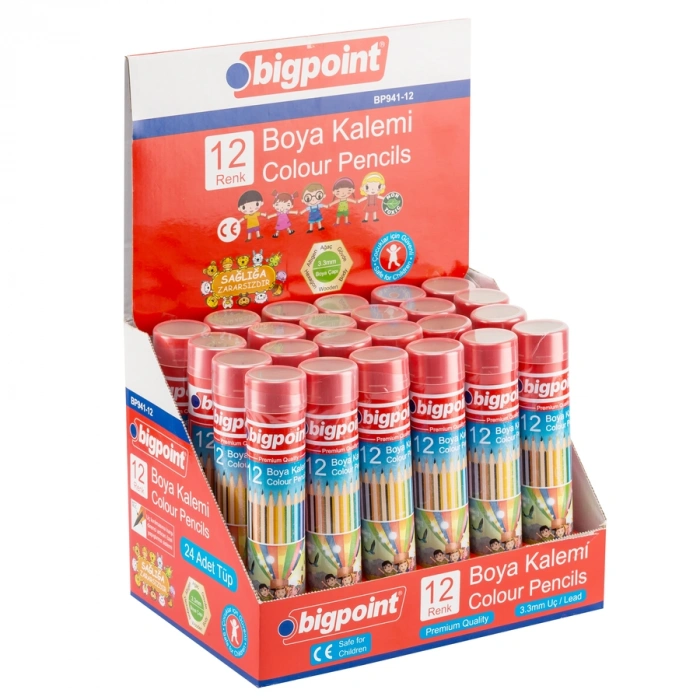 Bigpoint Metal Tüpde Kuru Boya Kalemi 12 Renk