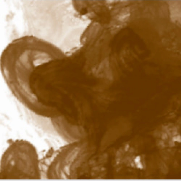 Daler Rowney FW Acrylic Artist Ink 180ml 251 Sepia