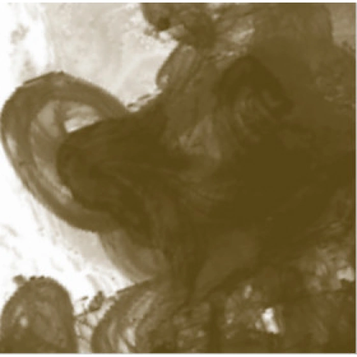 Daler Rowney FW Acrylic Artist Ink 180ml Antelope Brown 222