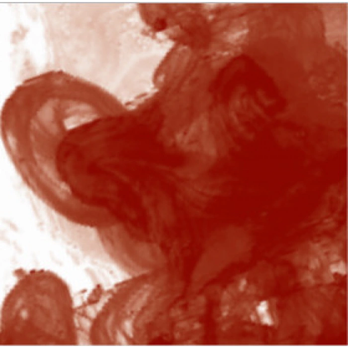 Daler Rowney FW Acrylic Artist Ink 29.5ml Cam Şişe Red Earth 554