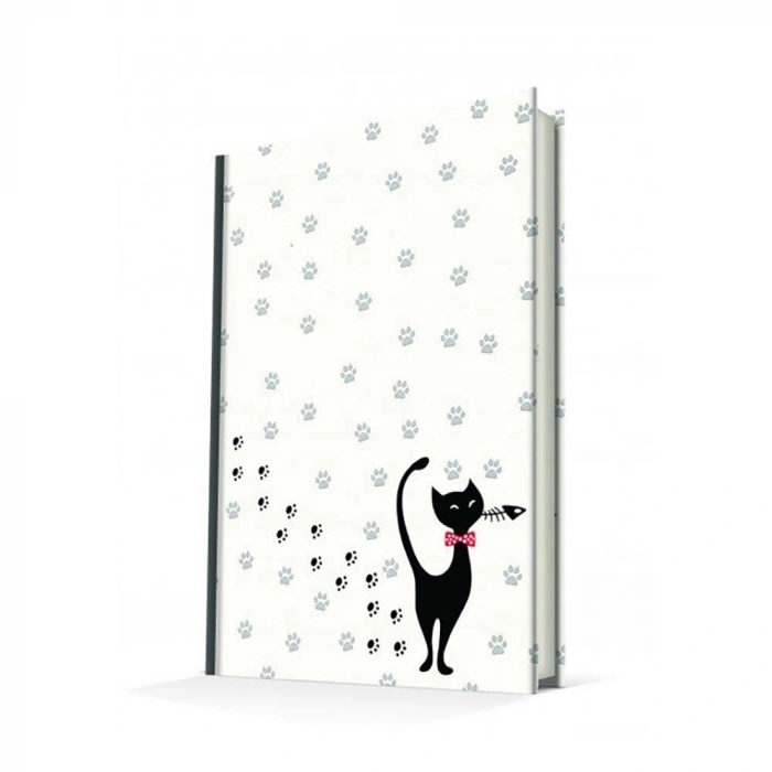 Deffter Aristocrat Sert Kapak Çizgili 14*22 64628-9