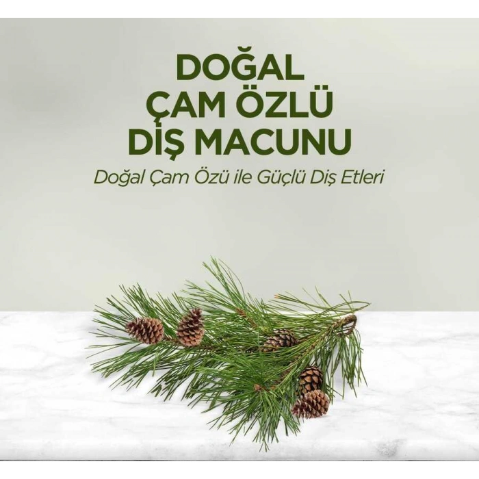 Doğal Çam Özlü Diş Macunu 90 ml
