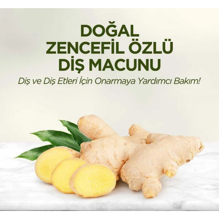 Doğal Zencefil Özlü Diş Macunu 90 ml