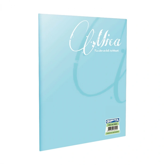 GIPTA MİCA PLASTİK KAPAK DEFTER A4 KARELİ 60 YAPRAK (1705)