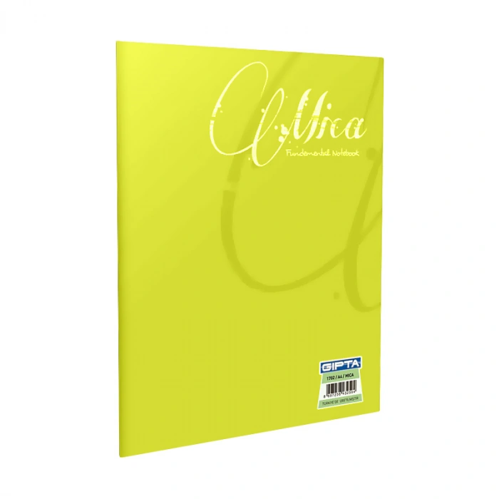 GIPTA MİCA PLASTİK KAPAK DEFTER A4 KARELİ 60 YAPRAK (1705)