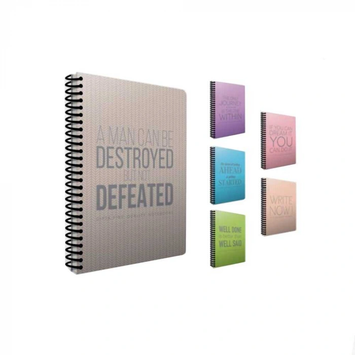 Gıpta Now Spiralli Plastik Kapak Çizgili Defter A4 80 Yaprak