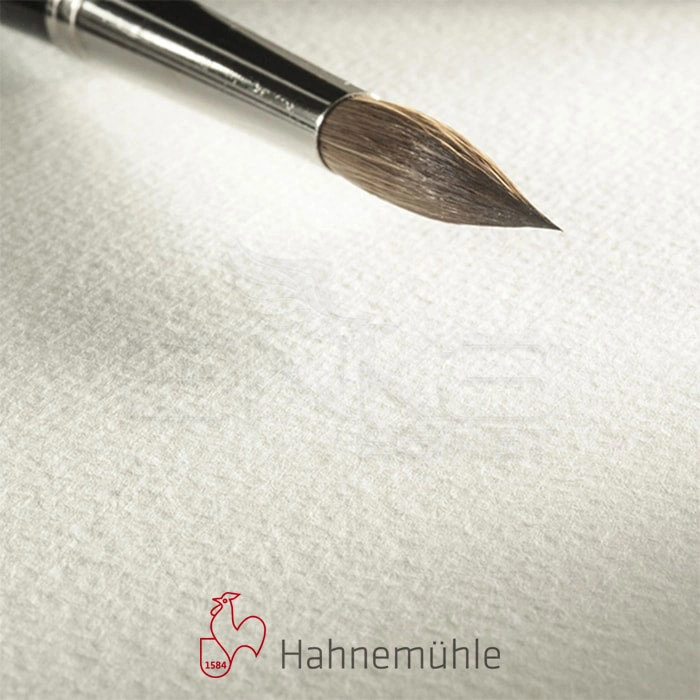Hahnemühle 200 Sulu Boya Tabaka 200g Rough 50x65 10lu