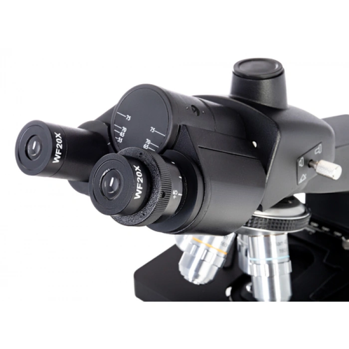 Levenhuk D870T 8 M Dijital Trinoküler Mikroskop