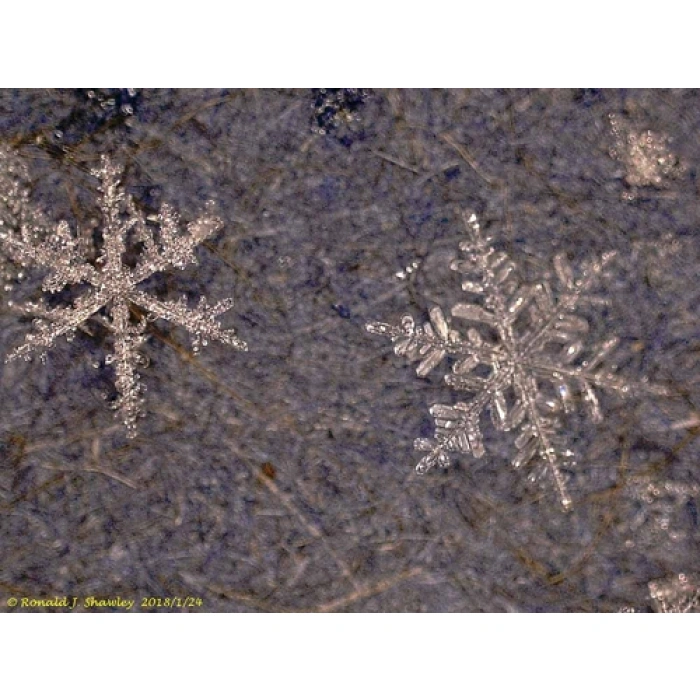 Levenhuk DTX 500 LCD Dijital Mikroskop