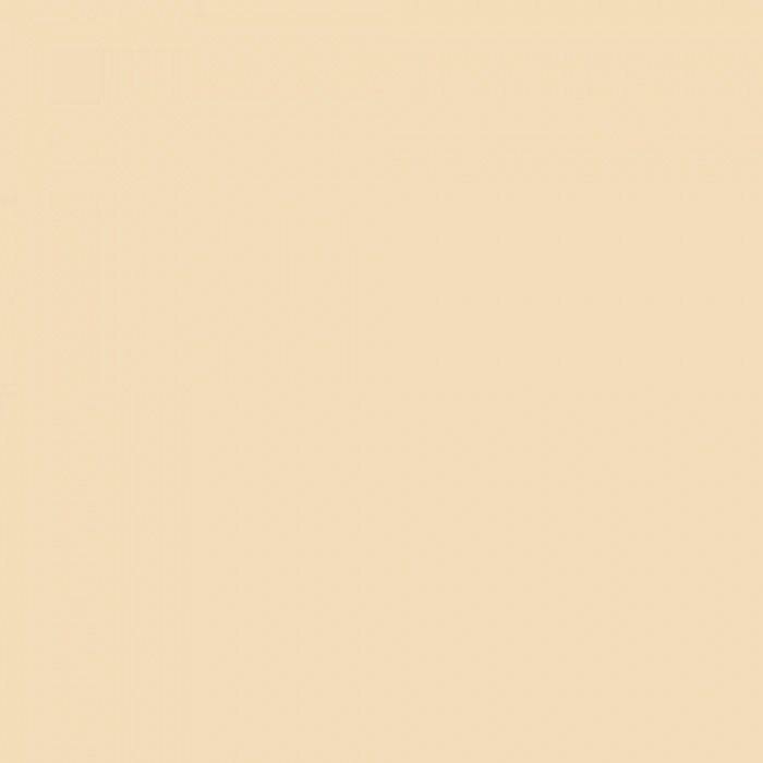 Touch Twin Brush Marker BR113 Peanut