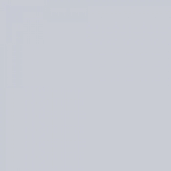 Touch Twin Marker CG2 Cool Grey