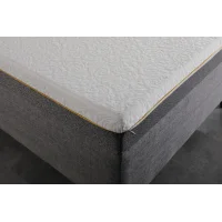 Lars Siyah Metal Divan Karyola 90x200 | Modern ve Şık Tek Kişilik Yatak