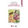 Can Yayınları Roald DAHL Çocuk Edebiyatı Seçkisi 4 Kitap