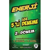 Palme Yayıncılık 8. Sınıf Enerji LGS 5li 2.dönem Deneme