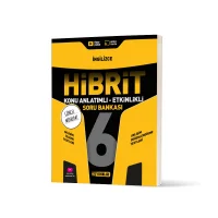 Hız Yayınları 6.sınıf Hibrit Ingilizce Soru Bankası Yeni