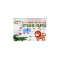 Minik Ada Sağ Beyin Sol Beyin Etkinlikleri 4 Yaş