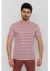 Bisiklet Yaka Baskılı Erkek T-Shirt