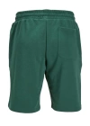 Jogger Fıt Rahat Kesım Şort