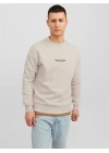 Organik Pamuk Erkek Sweatshirt