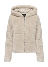 Polarlı Hood Ceket 15304759