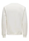 Sıfır Yaka Şardonlu Erkek Sweatshirt