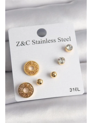 316L Çelik Gold Renk Zirkon Taşı Labirent Model Kadın Küpe Seti