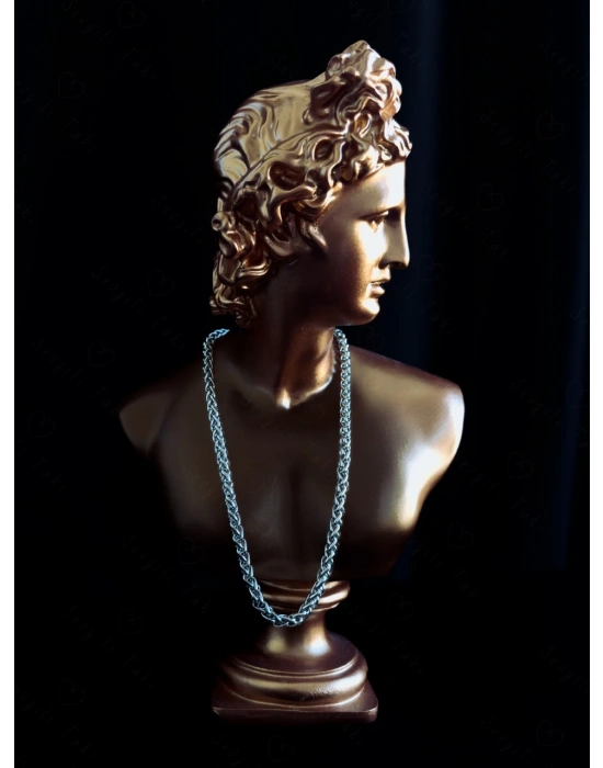 Burgu Model Çelik Zincir Kolye | Karma Serisi